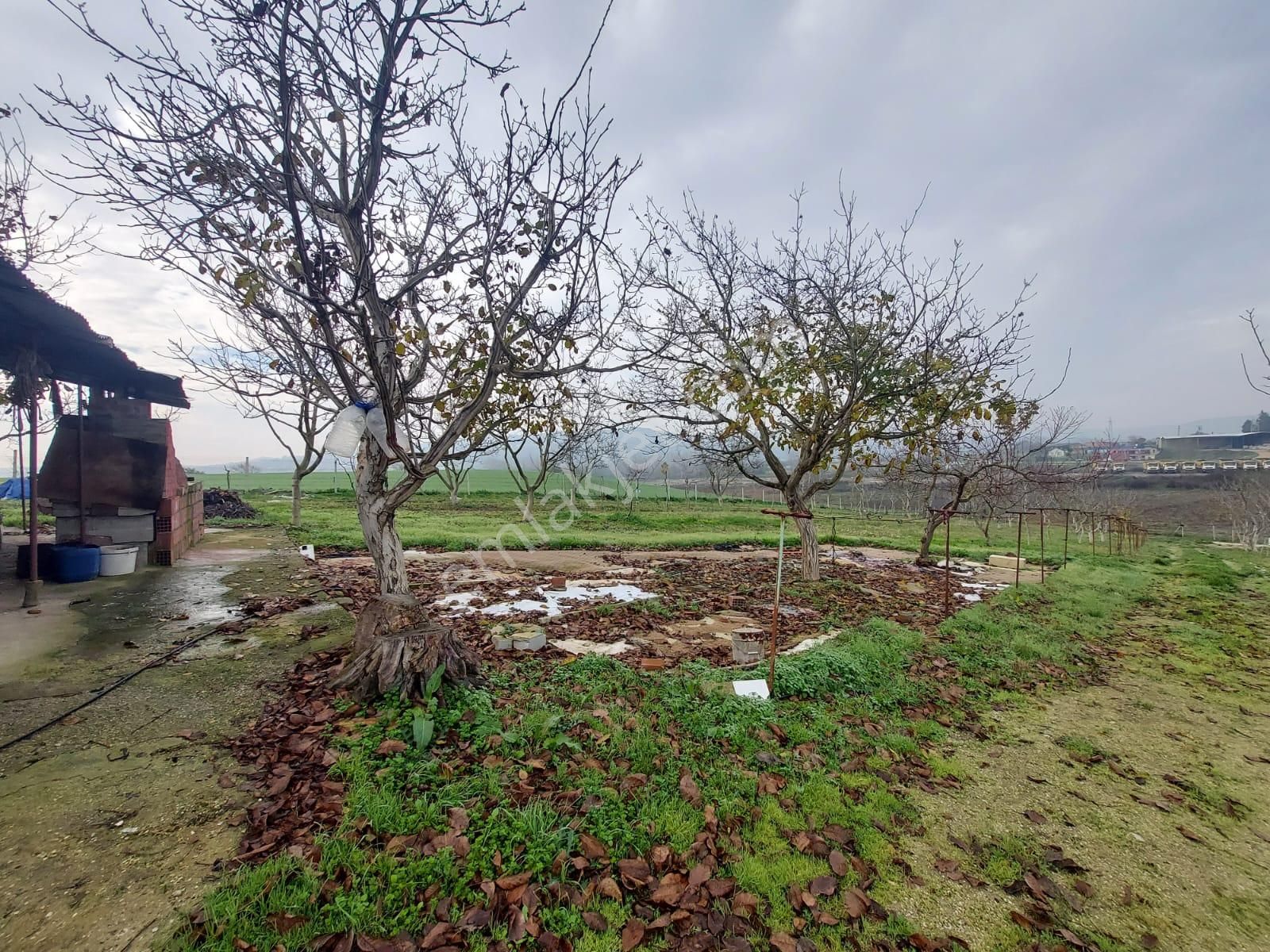 Mudanya Çayönü Teknosab Osb Yakın Satılık Tarla - Görsel 29