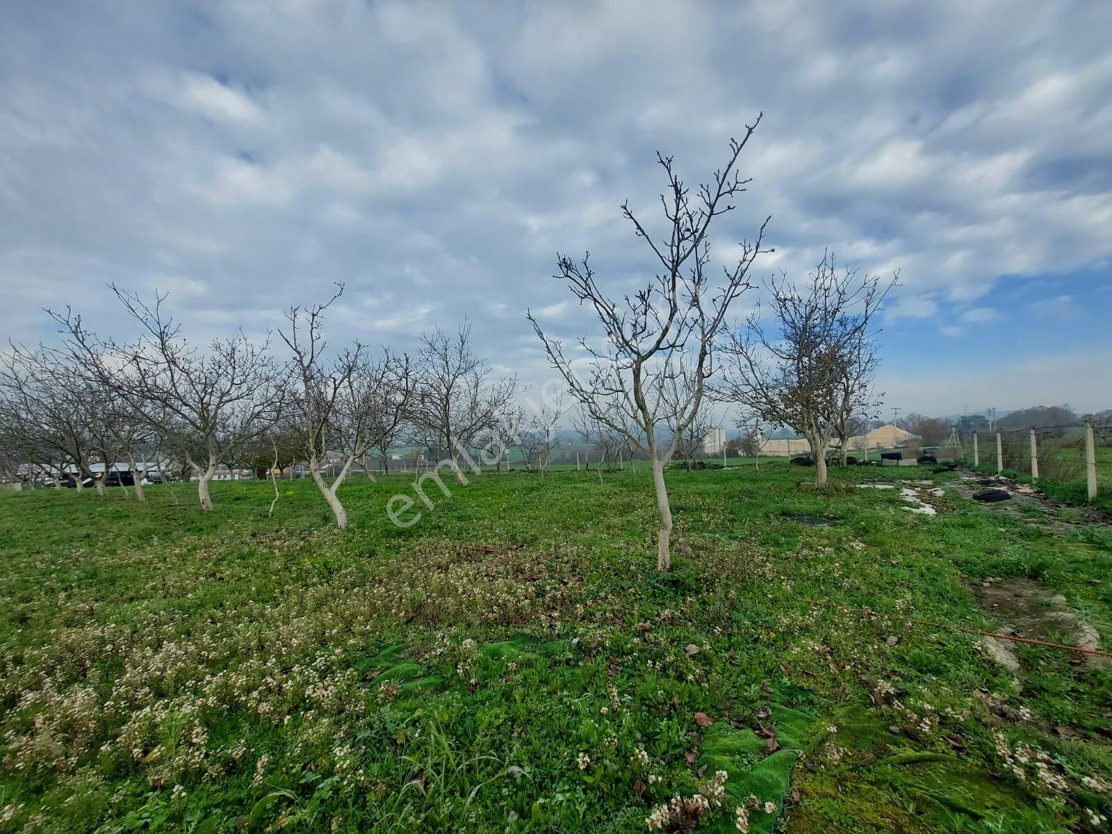 Mudanya Çayönü Teknosab Osb Yakın Satılık Tarla