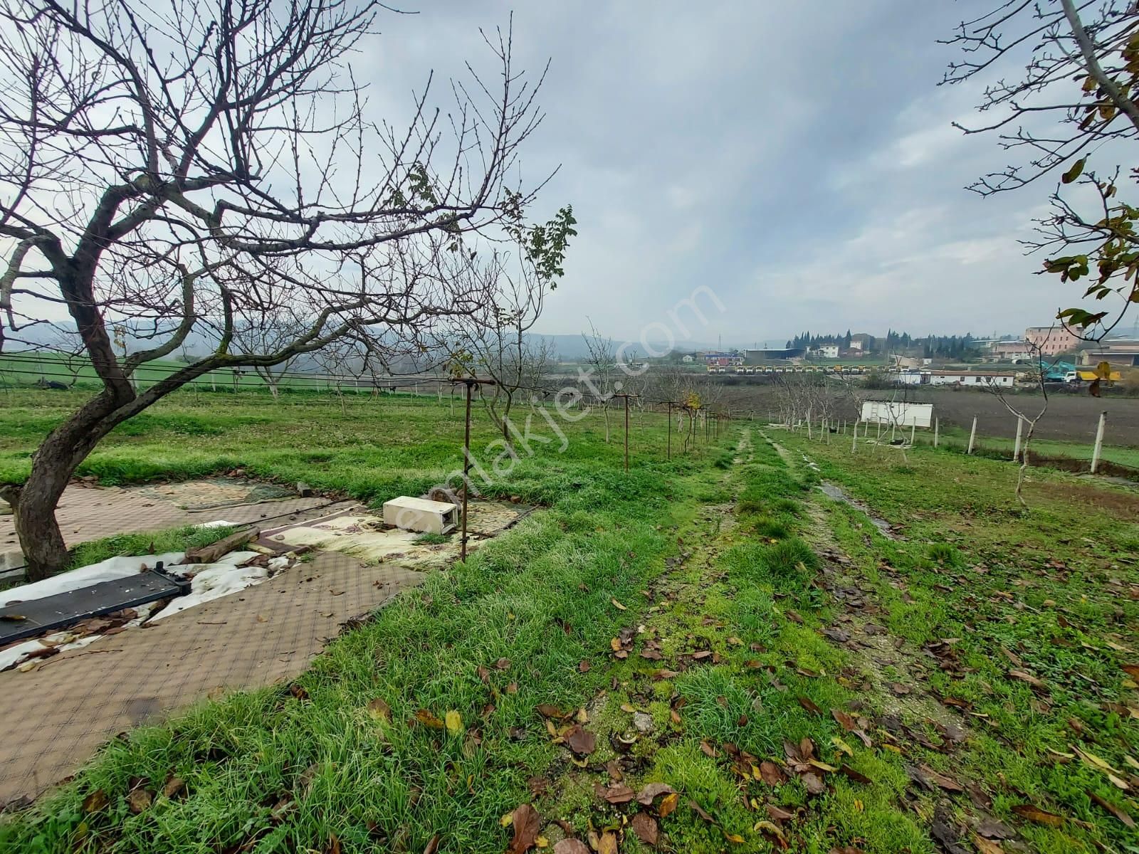 Mudanya Çayönü Teknosab Osb Yakın Satılık Tarla - Görsel 30