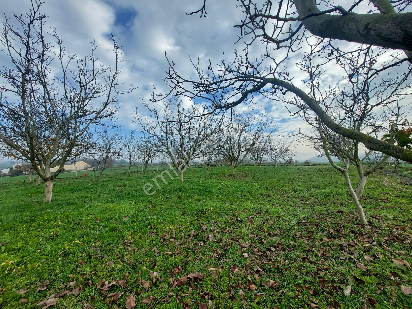 Mudanya Çayönü Teknosab Osb Yakın Satılık Tarla - Görsel 15