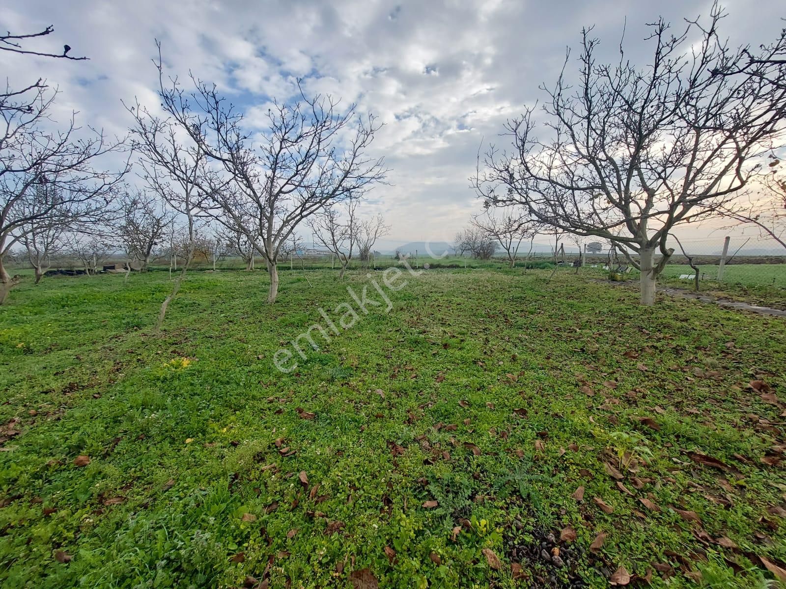 Mudanya Çayönü Teknosab Osb Yakın Satılık Tarla - Görsel 9