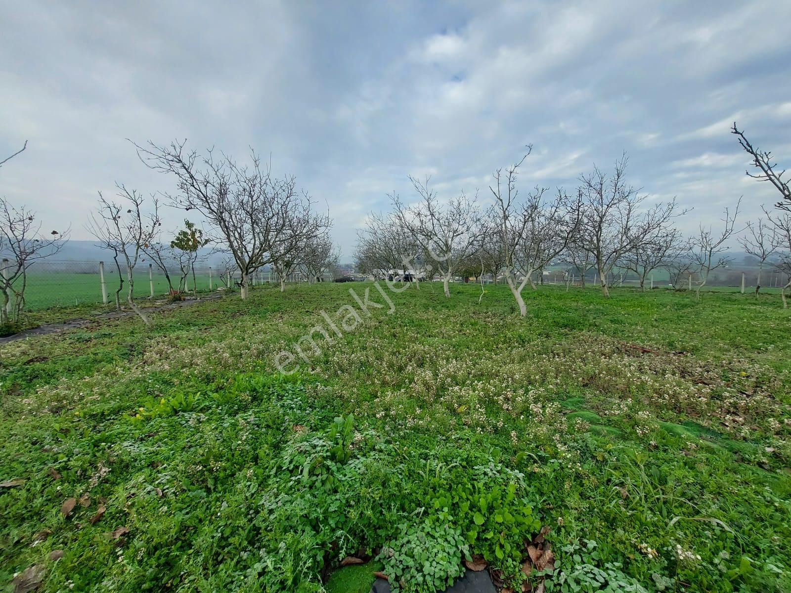 Mudanya Çayönü Teknosab Osb Yakın Satılık Tarla - Görsel 8