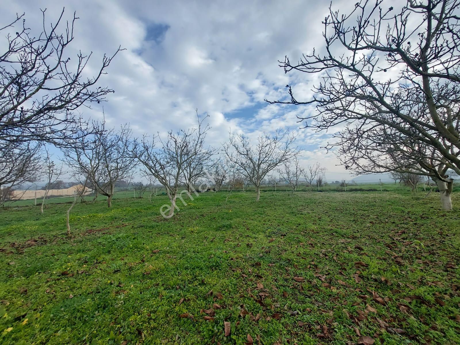 Mudanya Çayönü Teknosab Osb Yakın Satılık Tarla - Görsel 17
