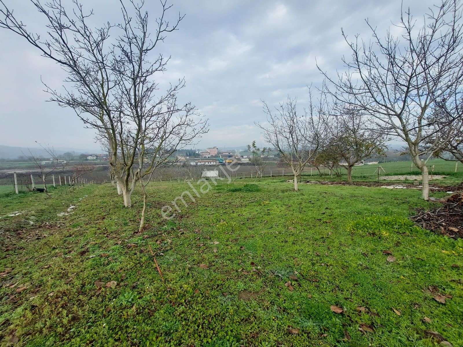 Mudanya Çayönü Teknosab Osb Yakın Satılık Tarla - Görsel 23