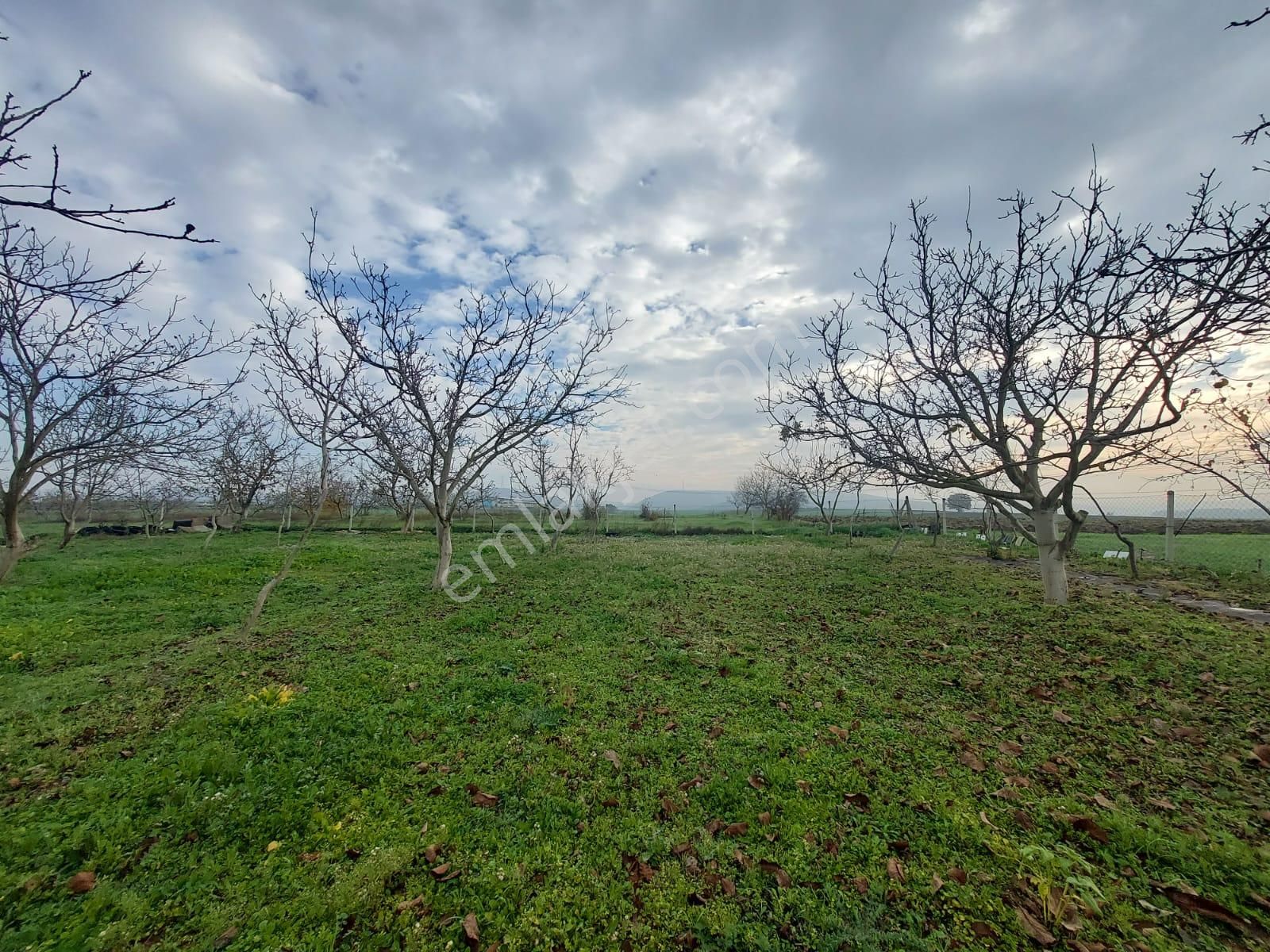 Mudanya Çayönü Teknosab Osb Yakın Satılık Tarla - Görsel 11