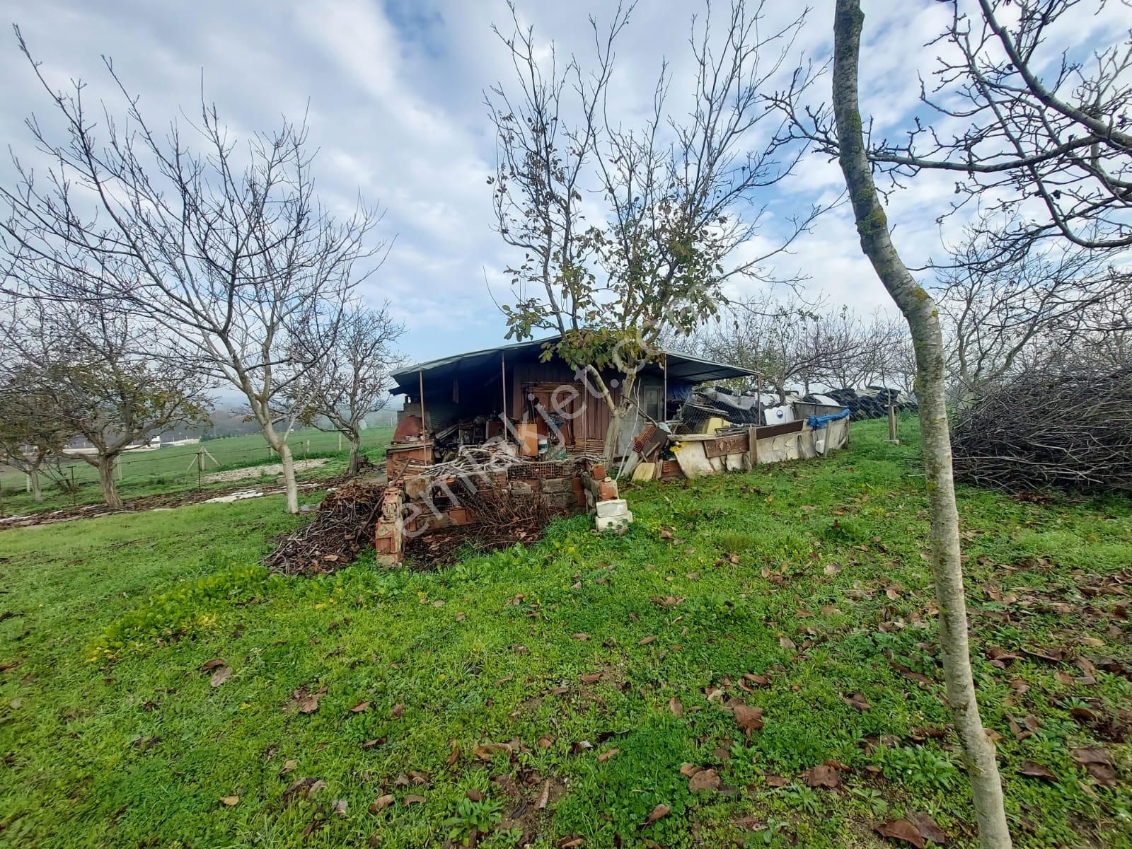 Mudanya Çayönü Teknosab Osb Yakın Satılık Tarla - Görsel 26