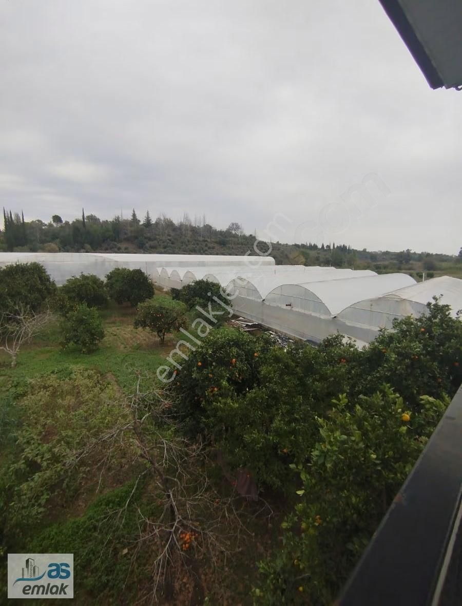 Aksaz Da 6000m2 İçerisinde İki Katlı Ev 3000m2 Seralı - Görsel 21