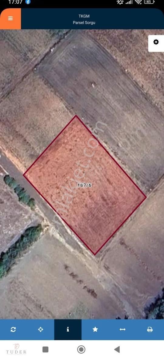 Yenişehir Orhaniye'de Kadastro Yola Cephe Yıl Boyu Ulaşımlı Bağ