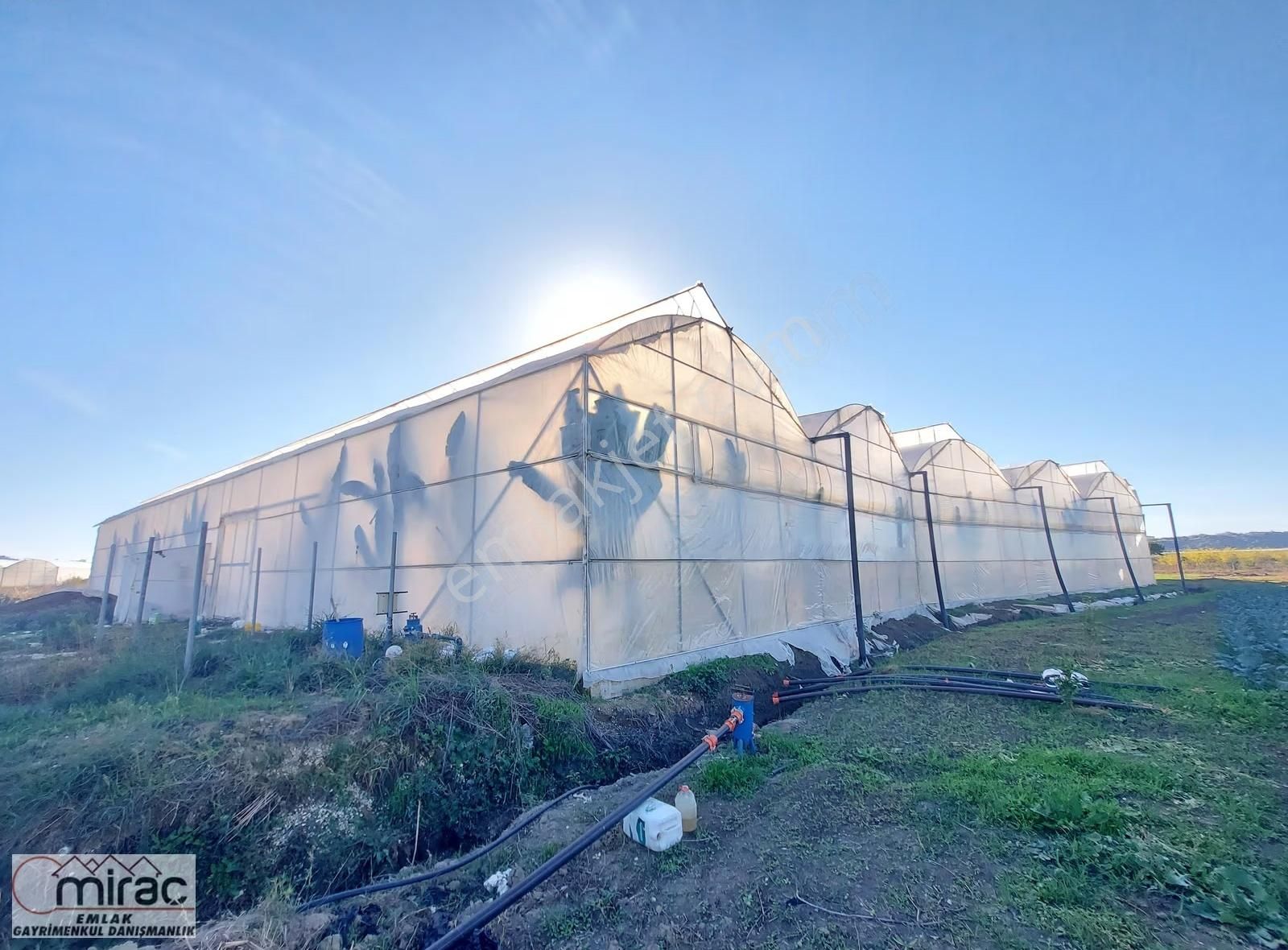 Yeniköyde İçinde Muz Serası Olan 6.500 M2 Tek Tapu Satılık Tarla