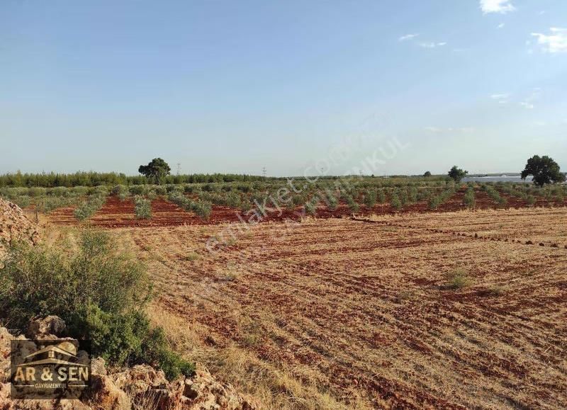 Kepez Kızıllı Hacıaliler Mevki 1695m2 2b Zilliyetli Hak Devri - Görsel 33