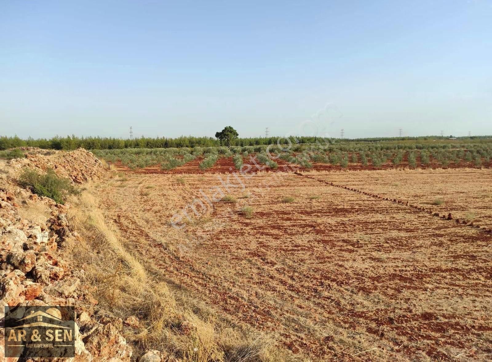 Kepez Kızıllı Hacıaliler Mevki 1695m2 2b Zilliyetli Hak Devri - Görsel 16