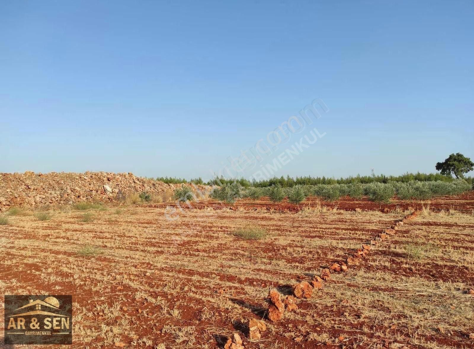 Kepez Kızıllı Hacıaliler Mevki 1695m2 2b Zilliyetli Hak Devri - Görsel 18