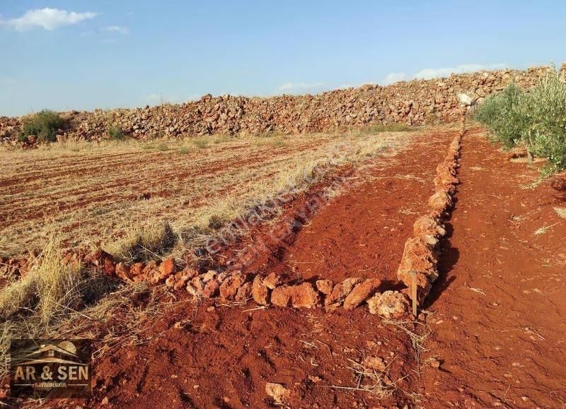 Kepez Kızıllı Hacıaliler Mevki 1695m2 2b Zilliyetli Hak Devri - Görsel 14