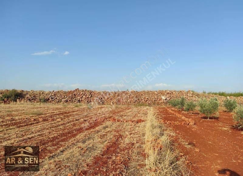 Kepez Kızıllı Hacıaliler Mevki 1695m2 2b Zilliyetli Hak Devri - Görsel 11