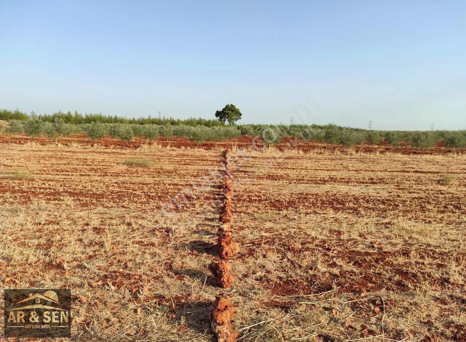 Kepez Kızıllı Hacıaliler Mevki 1695m2 2b Zilliyetli Hak Devri - Görsel 21