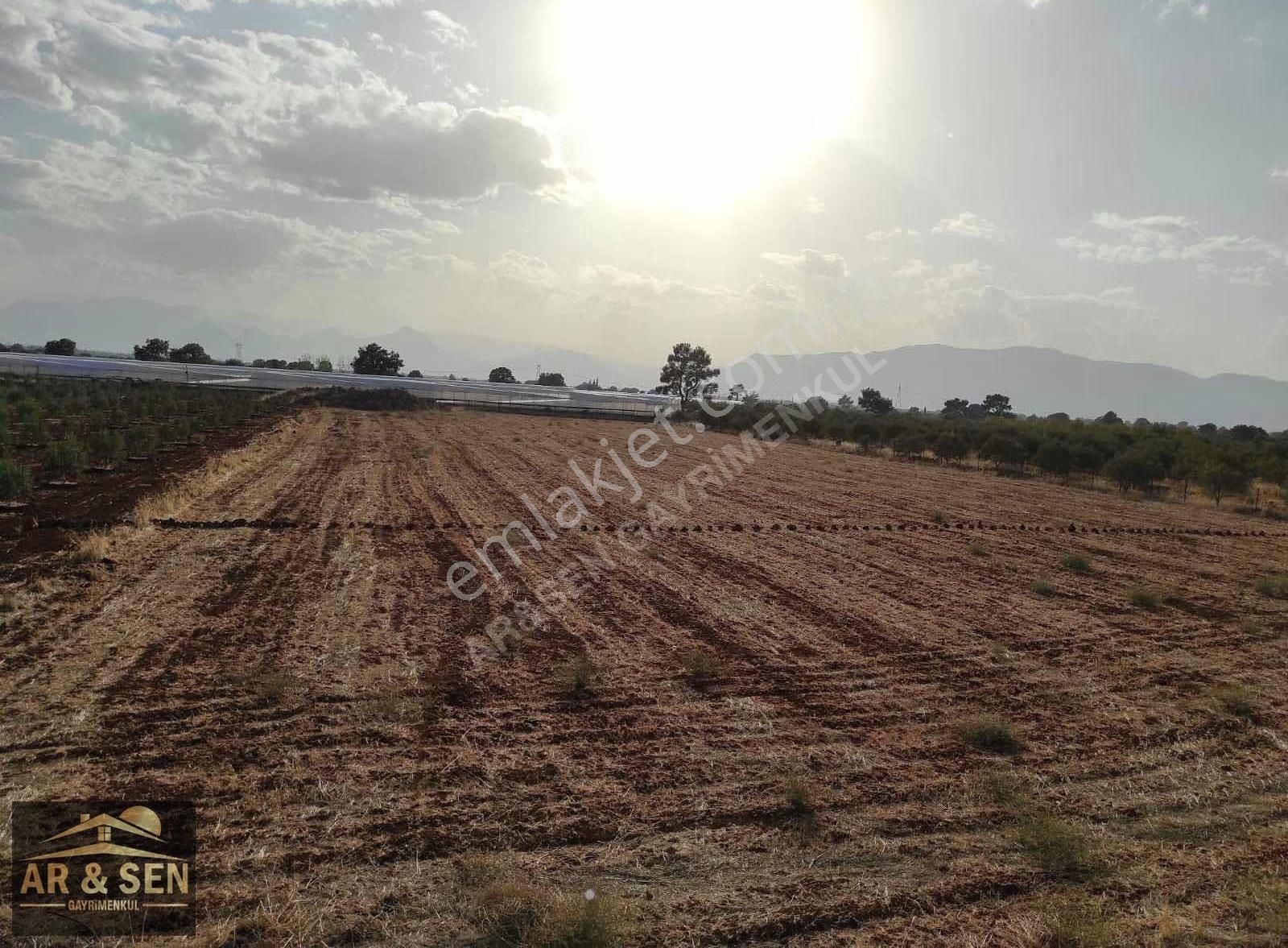 Kepez Kızıllı Hacıaliler Mevki 1695m2 2b Zilliyetli Hak Devri - Görsel 10