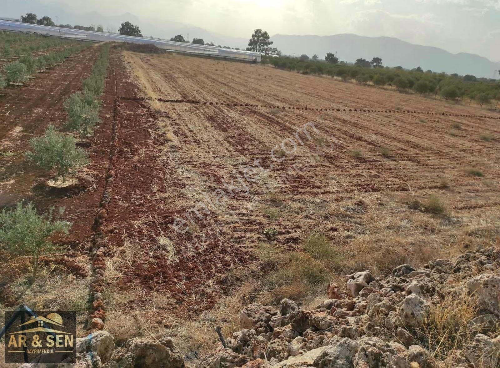 Kepez Kızıllı Hacıaliler Mevki 1695m2 2b Zilliyetli Hak Devri - Görsel 20