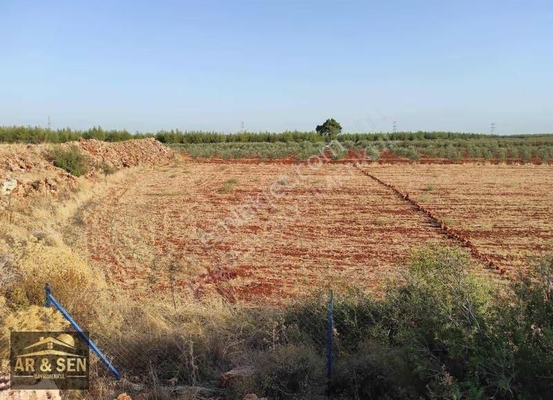 Kepez Kızıllı Hacıaliler Mevki 1695m2 2b Zilliyetli Hak Devri - Görsel 5