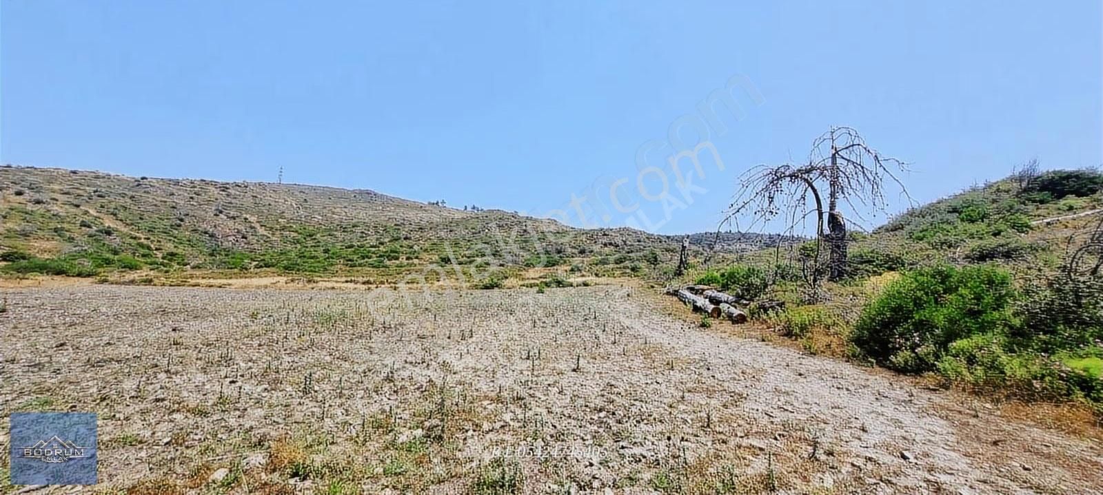 Bodrum Gökpınar - Görsel 10