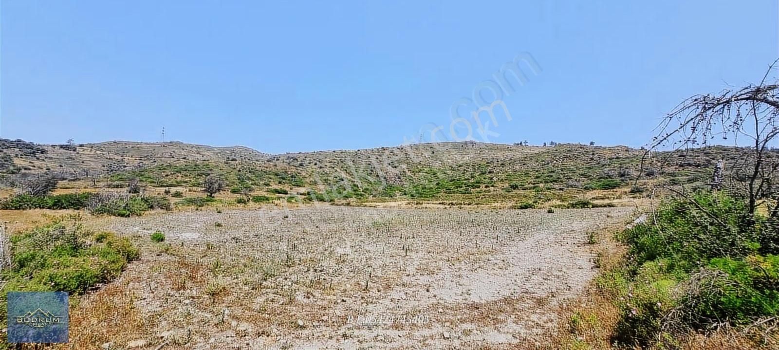 Bodrum Gökpınar - Görsel 5