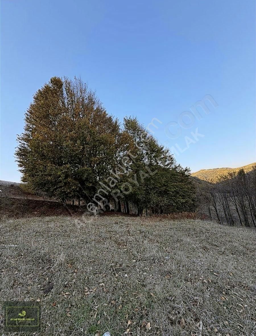 Acar Royal'den Radarda 1257 M2 Arazi