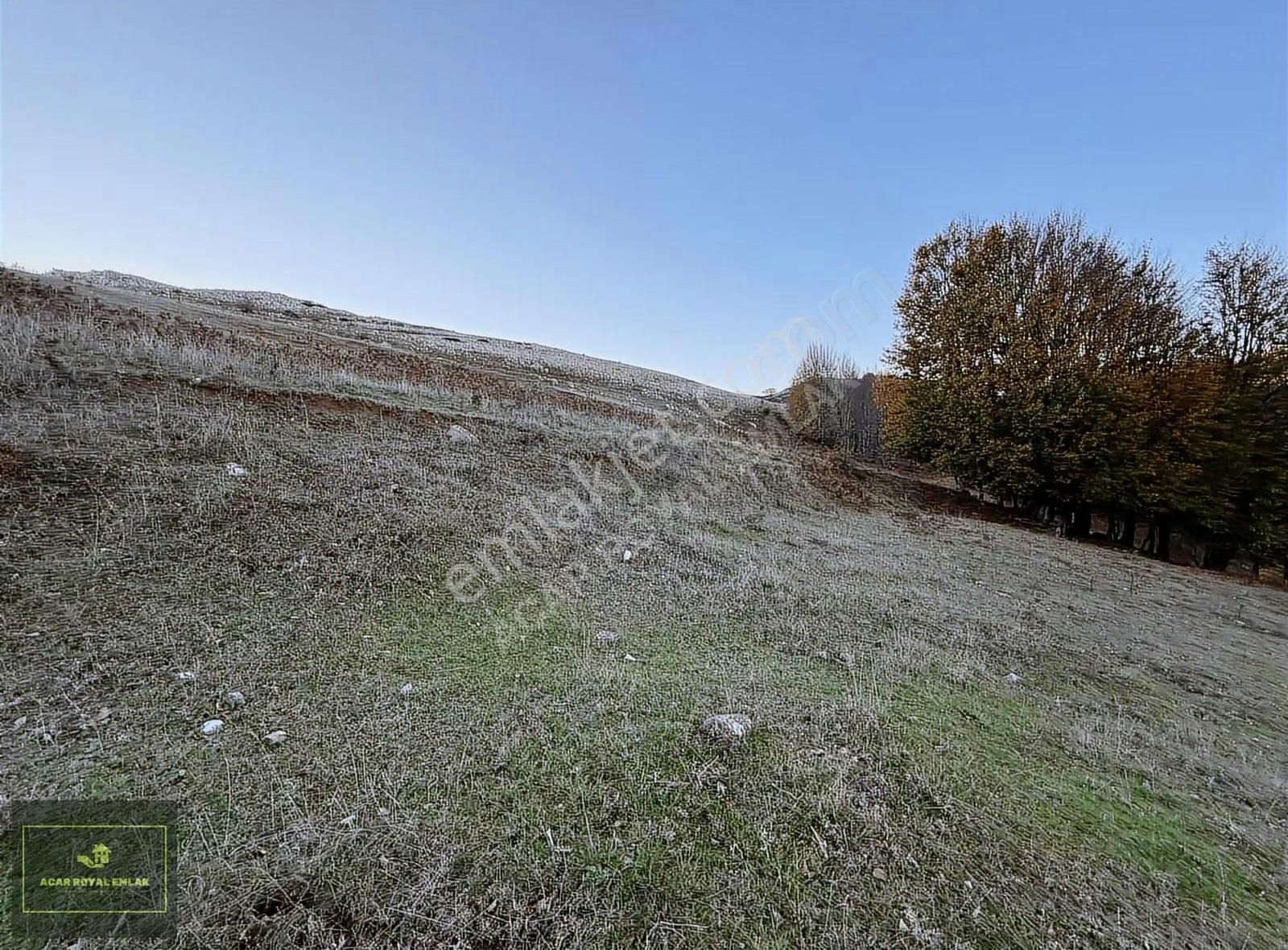 Acar Royal'den Radarda 1257 M2 Arazi - Görsel 5