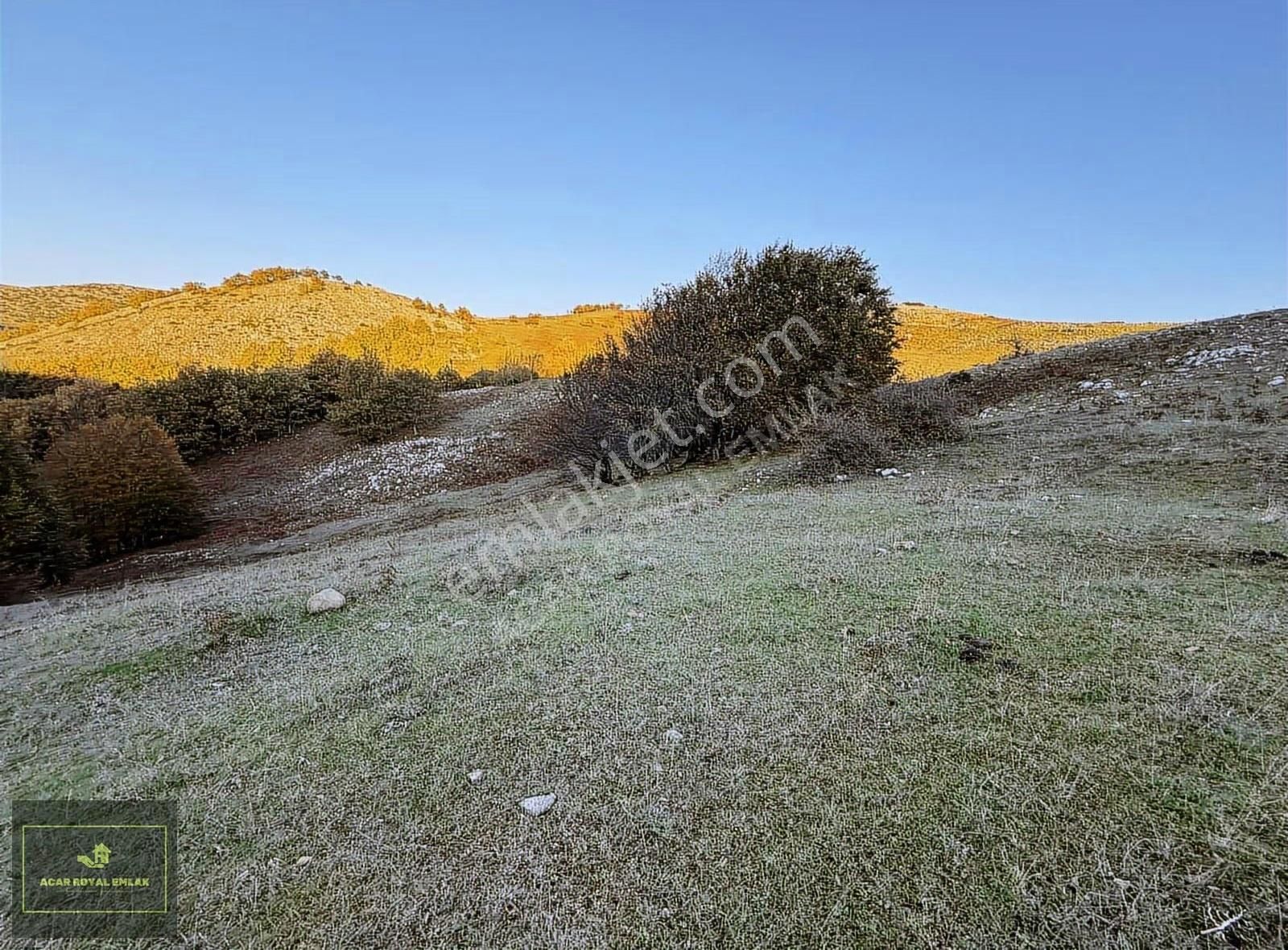 Acar Royal'den Radarda 1257 M2 Arazi - Görsel 4