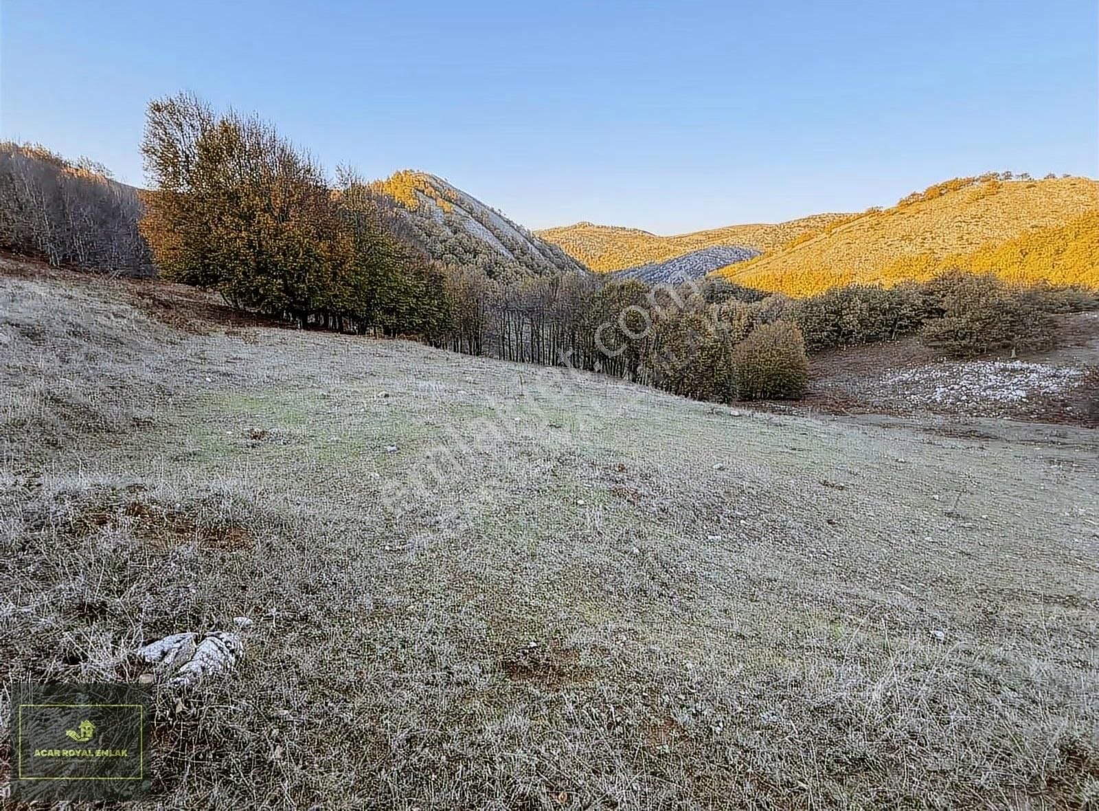 Acar Royal'den Radarda 1257 M2 Arazi - Görsel 3