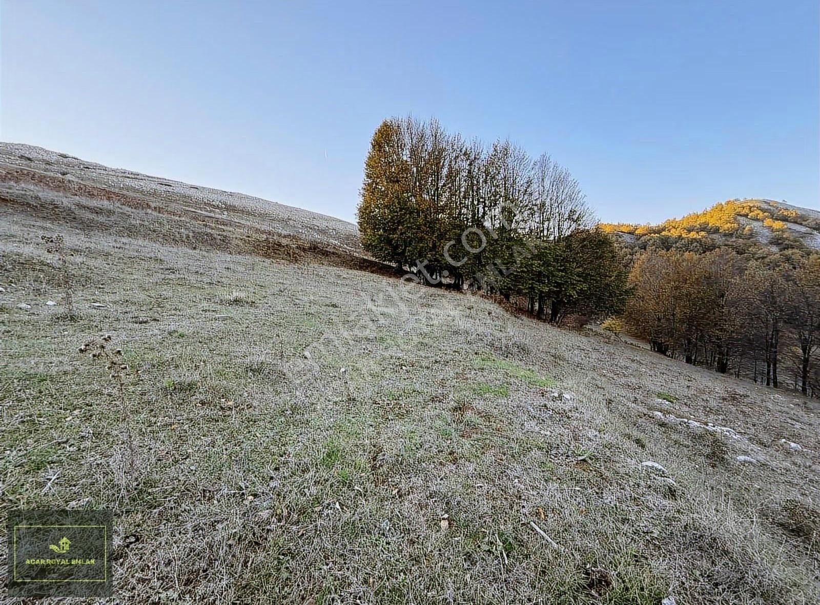 Acar Royal'den Radarda 1257 M2 Arazi - Görsel 28