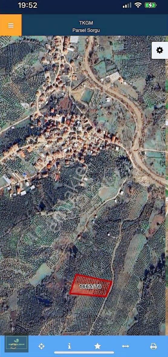 Acar Royal'den Yatırımlık Muratobada Zeytinlik - Görsel 4