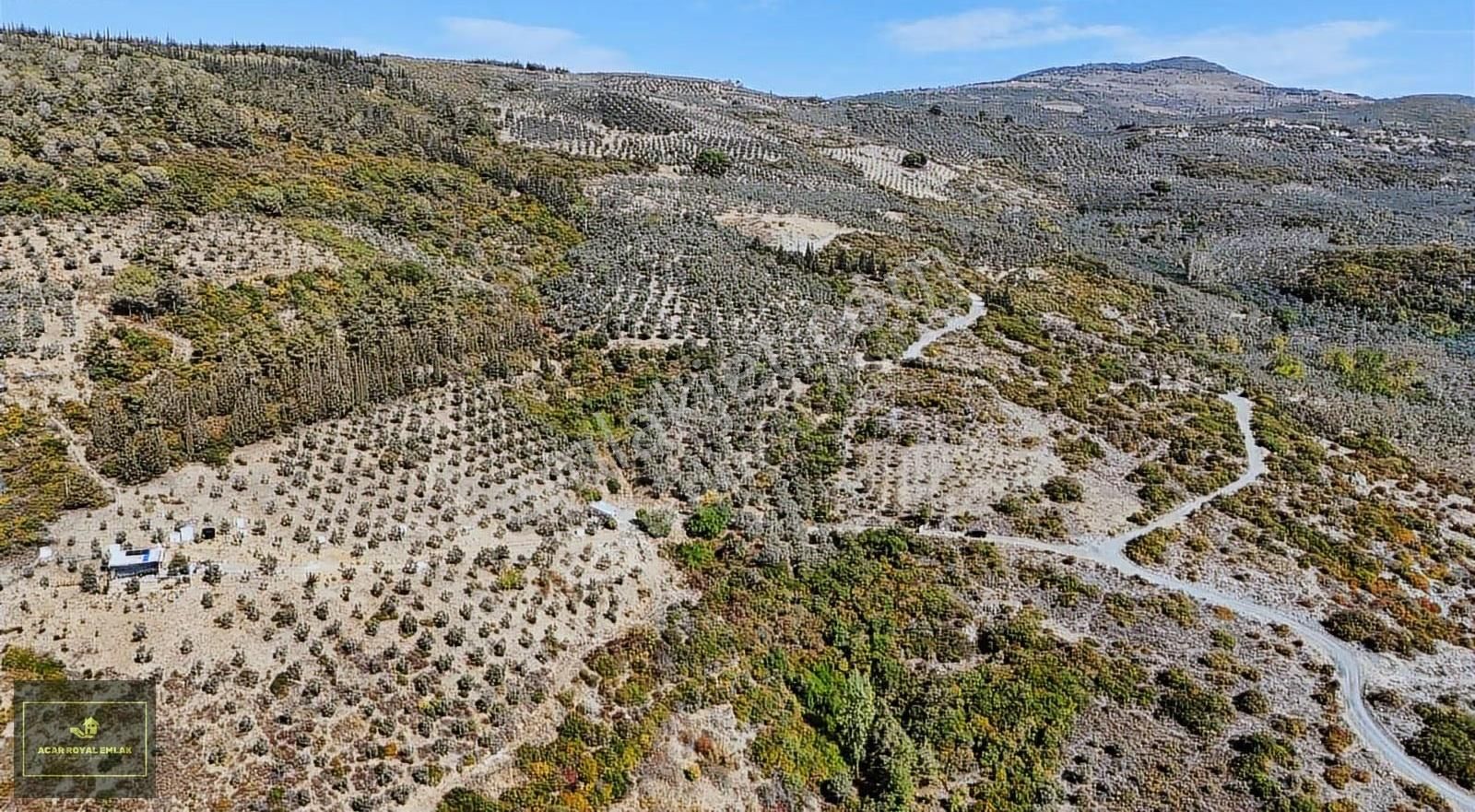 Manastırda Eğiitim Kampüs Alanı İmar Planı İçinde Arsa - Görsel 13