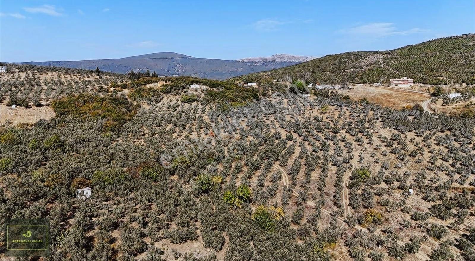 Manastırda Eğiitim Kampüs Alanı İmar Planı İçinde Arsa - Görsel 3