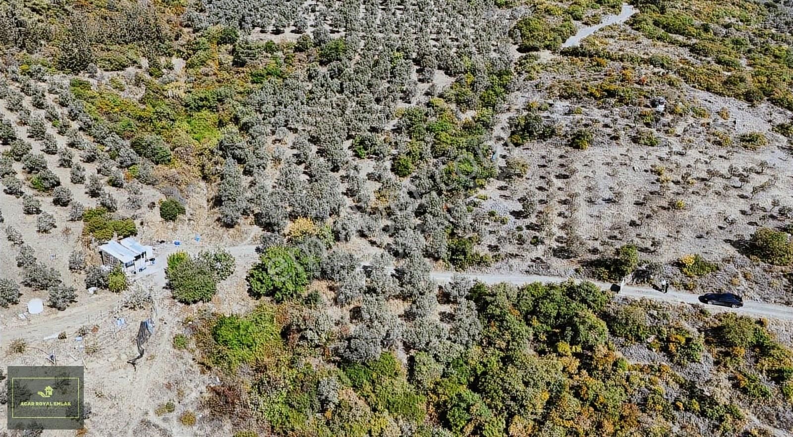 Manastırda Eğiitim Kampüs Alanı İmar Planı İçinde Arsa - Görsel 5