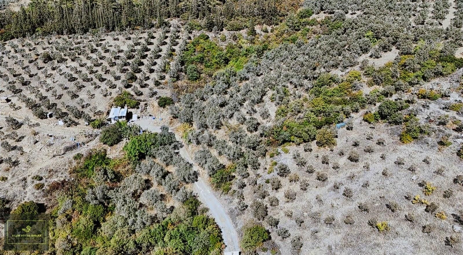 Manastırda Eğiitim Kampüs Alanı İmar Planı İçinde Arsa - Görsel 19