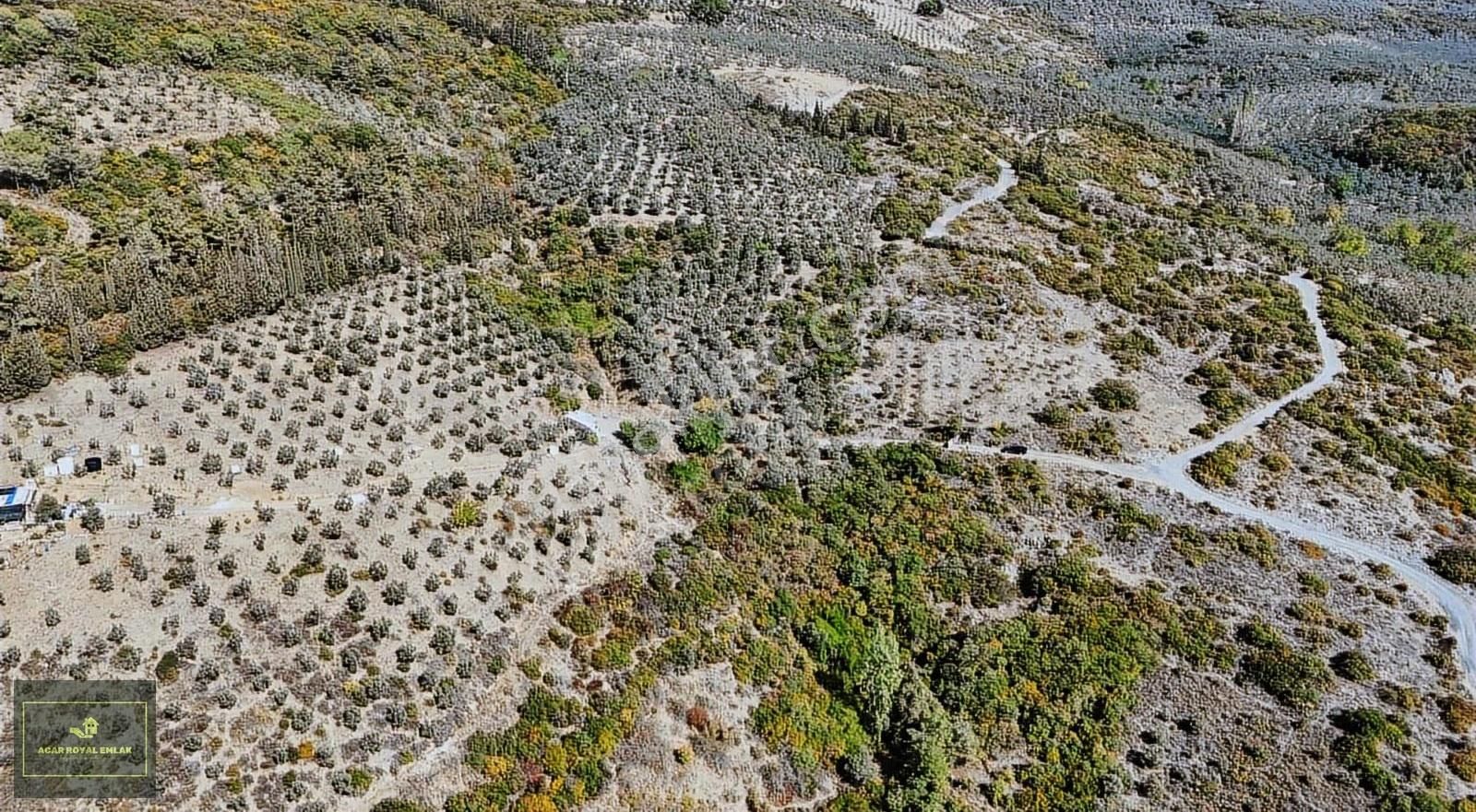Manastırda Eğiitim Kampüs Alanı İmar Planı İçinde Arsa - Görsel 11
