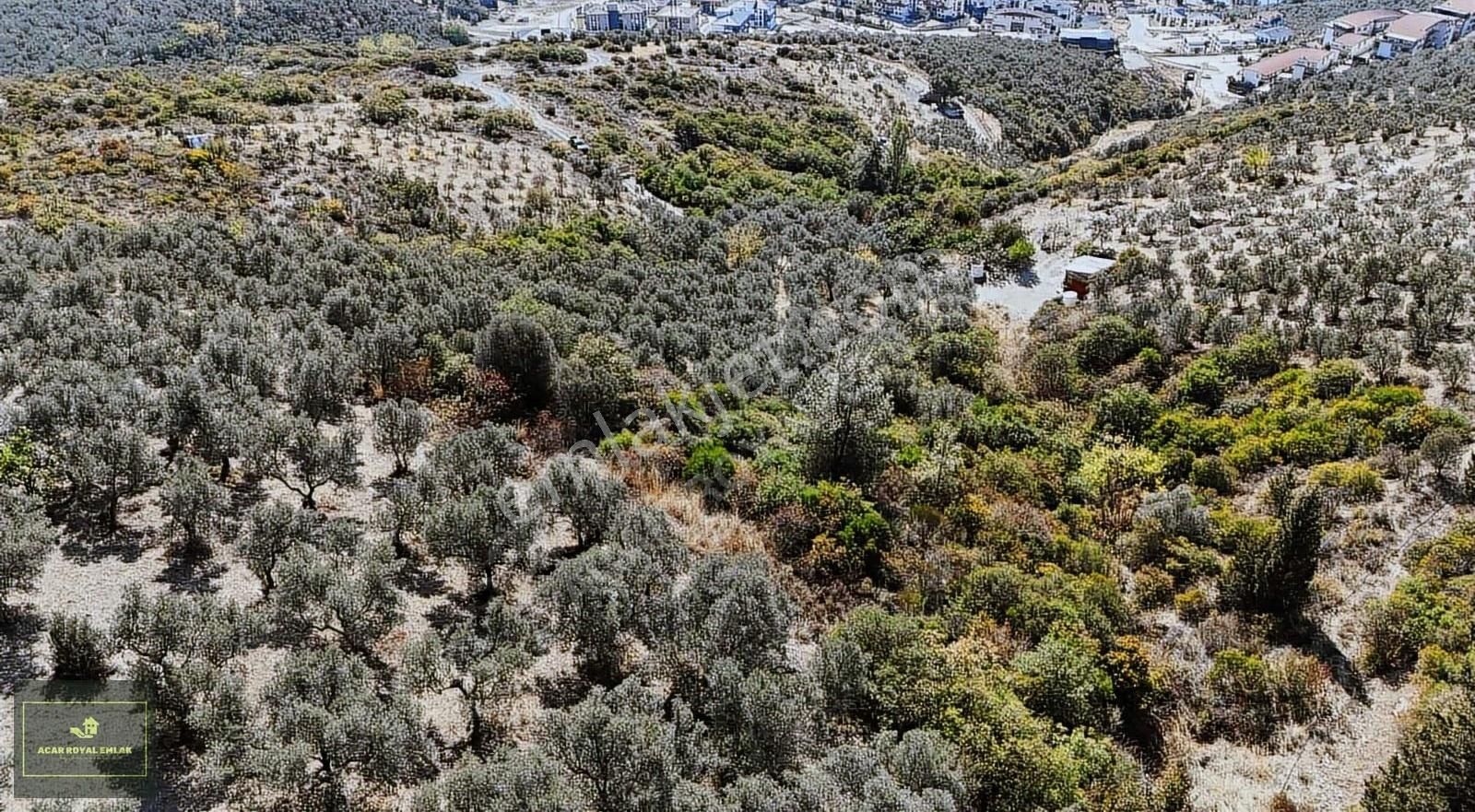 Manastırda Eğiitim Kampüs Alanı İmar Planı İçinde Arsa - Görsel 9