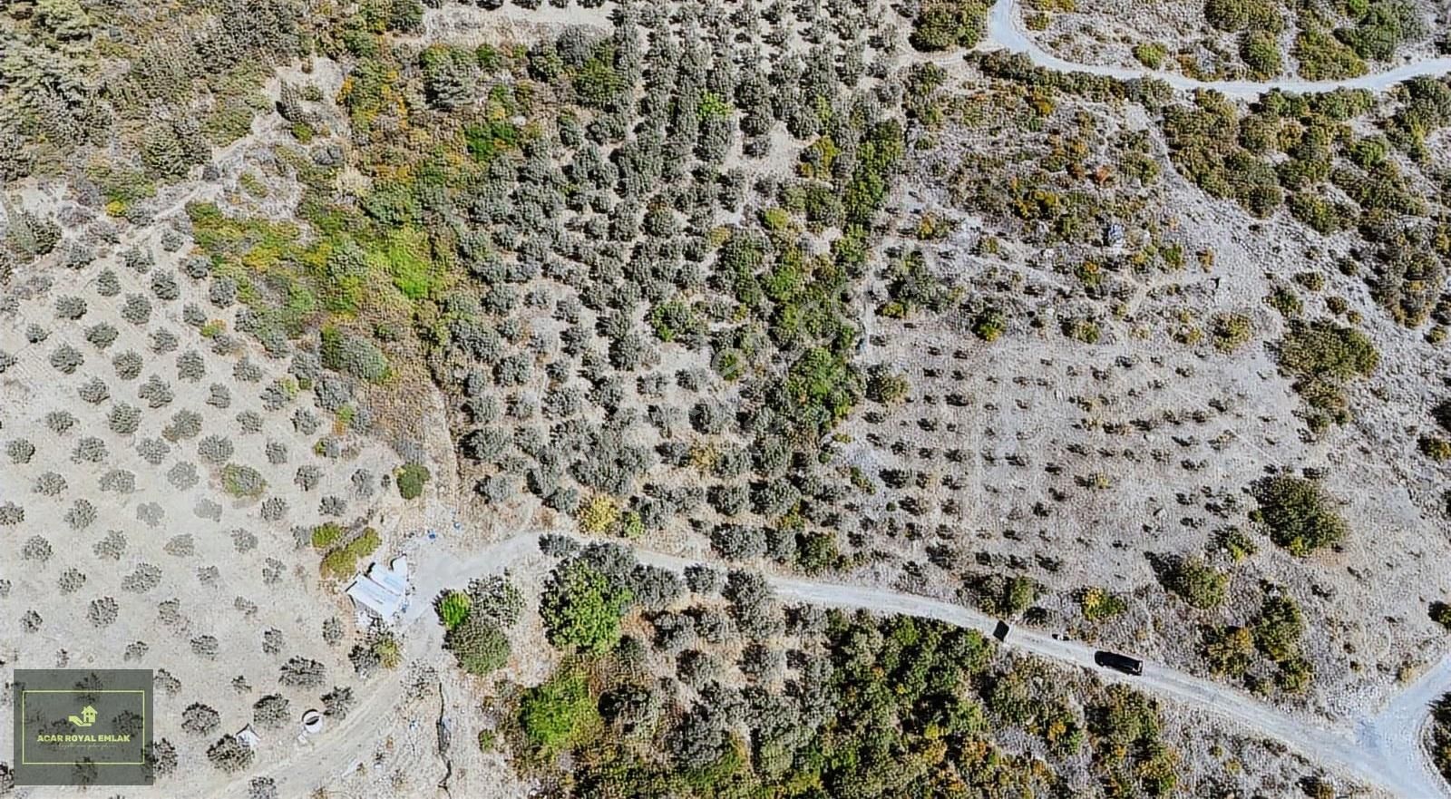 Manastırda Eğiitim Kampüs Alanı İmar Planı İçinde Arsa - Görsel 4