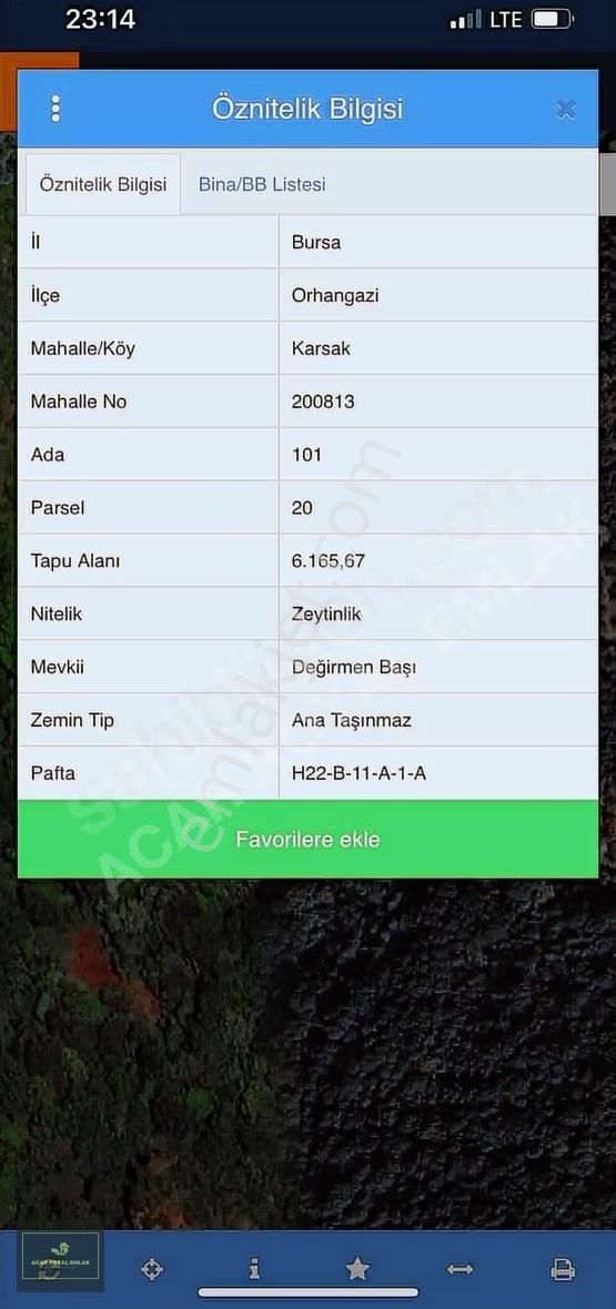 Acar Royal'den Karsakta 6165 M2 Satılık Zeytinlik