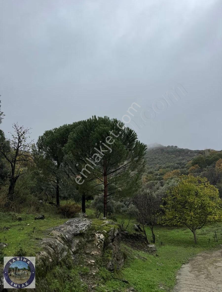 Su Aboneliği Olan Tarla Ve Zeytinlik - Görsel 8