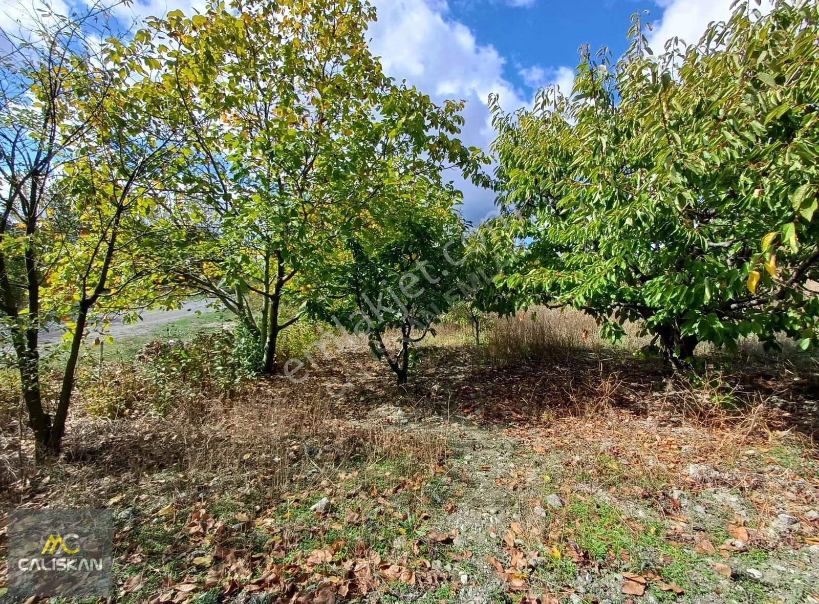 Emirseyit'te Kanala Sıfır Konumda Tek Tapu 2663 M2 Satılık Tarla