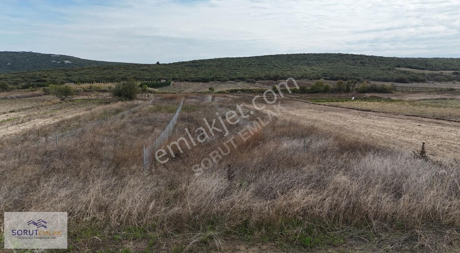 Edirne-keşan-mecidiye Sahil Yoluna Cephe 800 M2 Satılık Tarla - Görsel 15