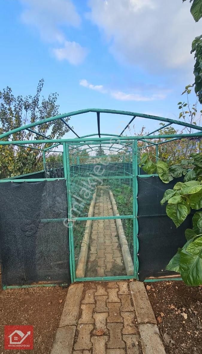 Odabaşında Satılık Müstakil Ev - Görsel 7