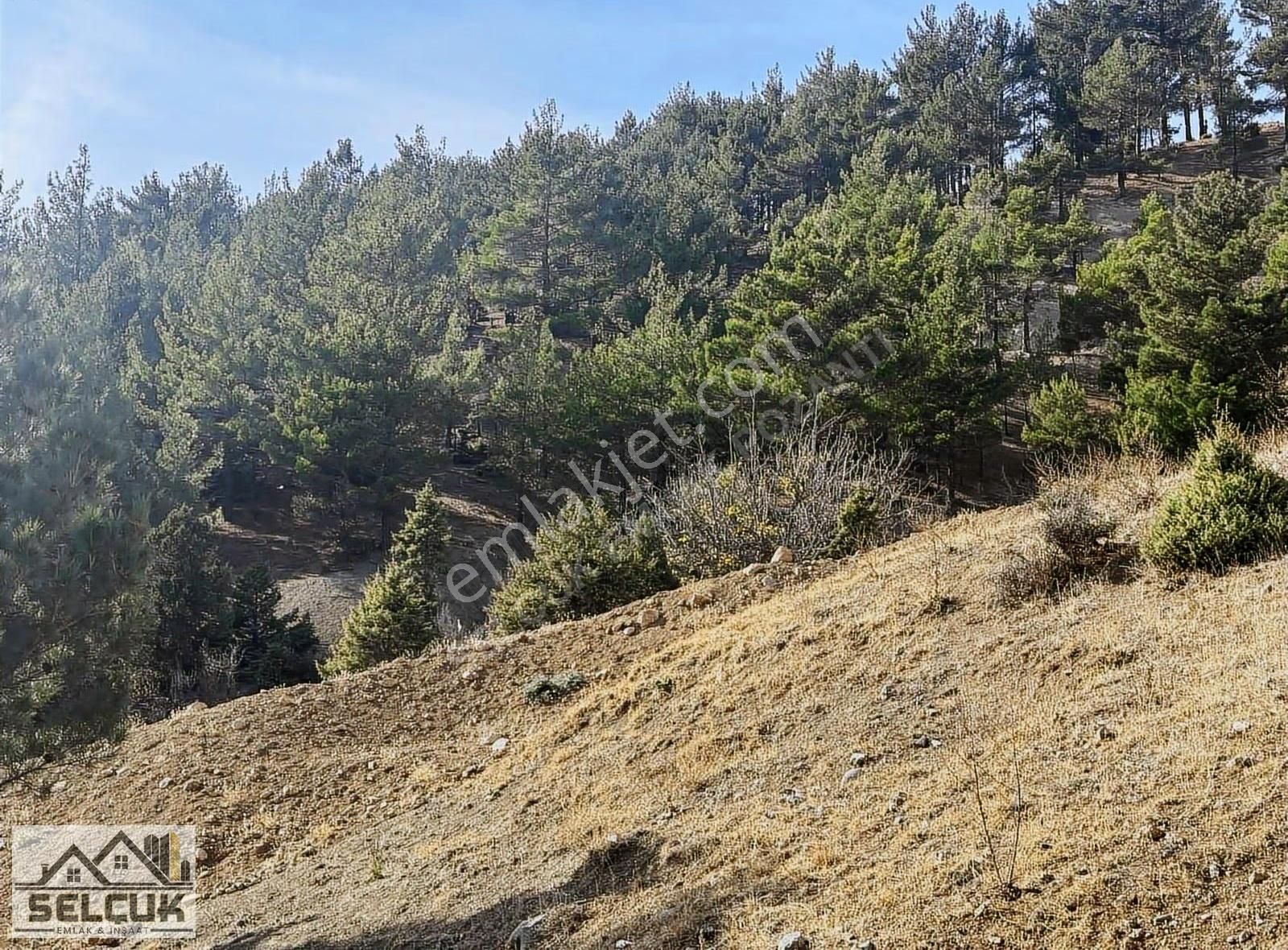Pozantı Selçuk Emlaktan Yenikonacık Yaylasında 425 M2 İmarlı Sat - Görsel 12
