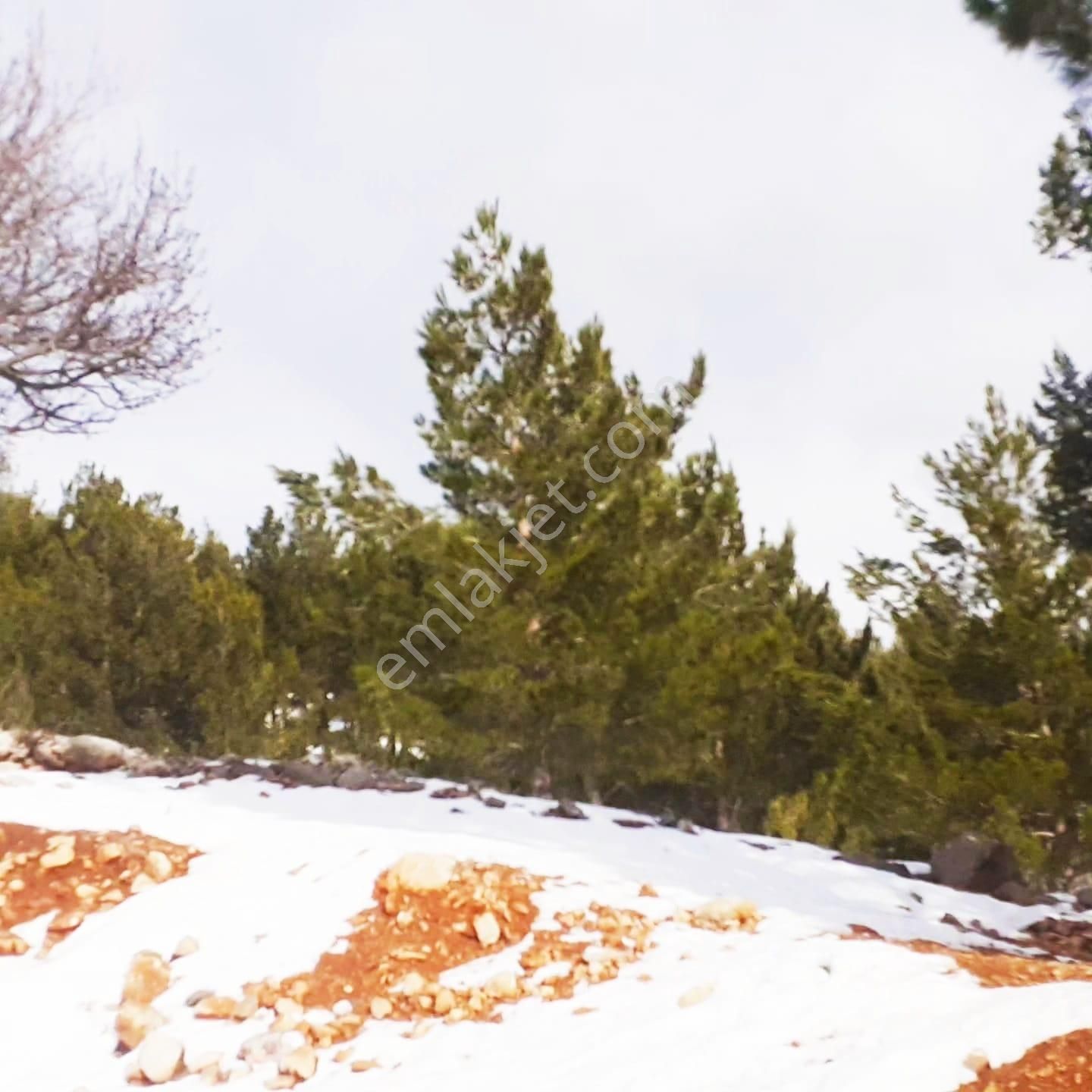 Kar Emlaktan Yenikonacık Efes Sitesinin Yanında 400 M2 Satılık Arsa - Görsel 9