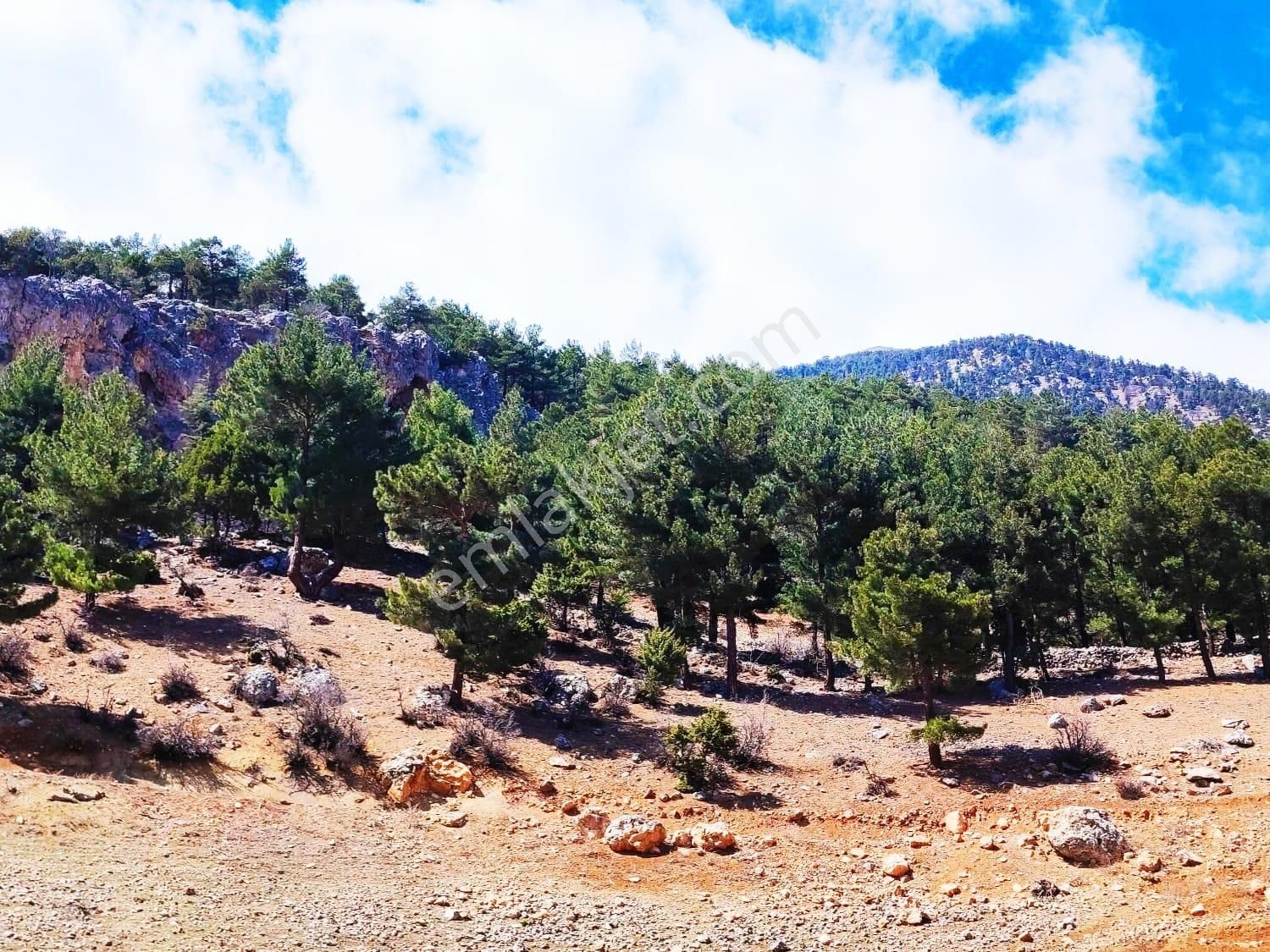 Kar Emlaktan Yenikonacık Bozkırlı Mevkiinde 430 M2 İmarlı İfrazlı Satılık Arsa - Görsel 5