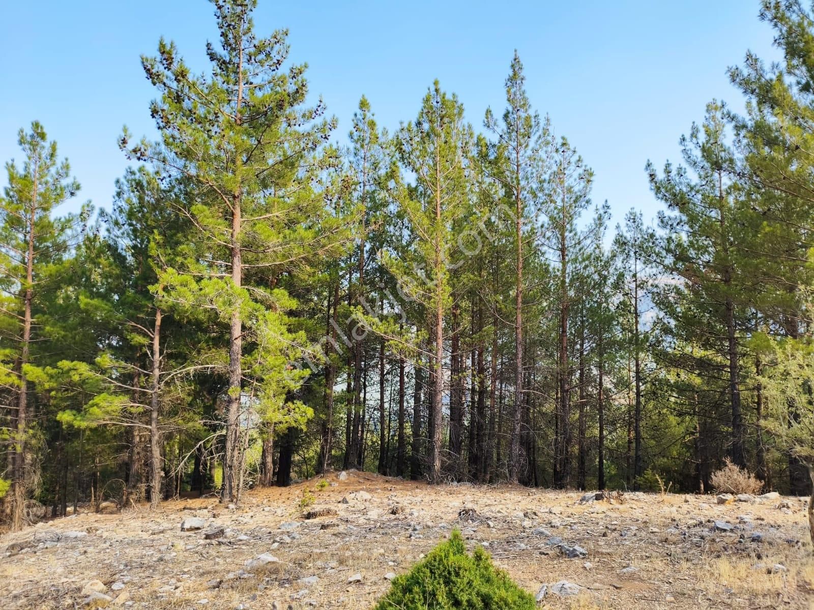 Kar Emlaktan Yenikonacık Efes Sitesinin Üstünde 400 M2 Satılık Arsa - Görsel 5