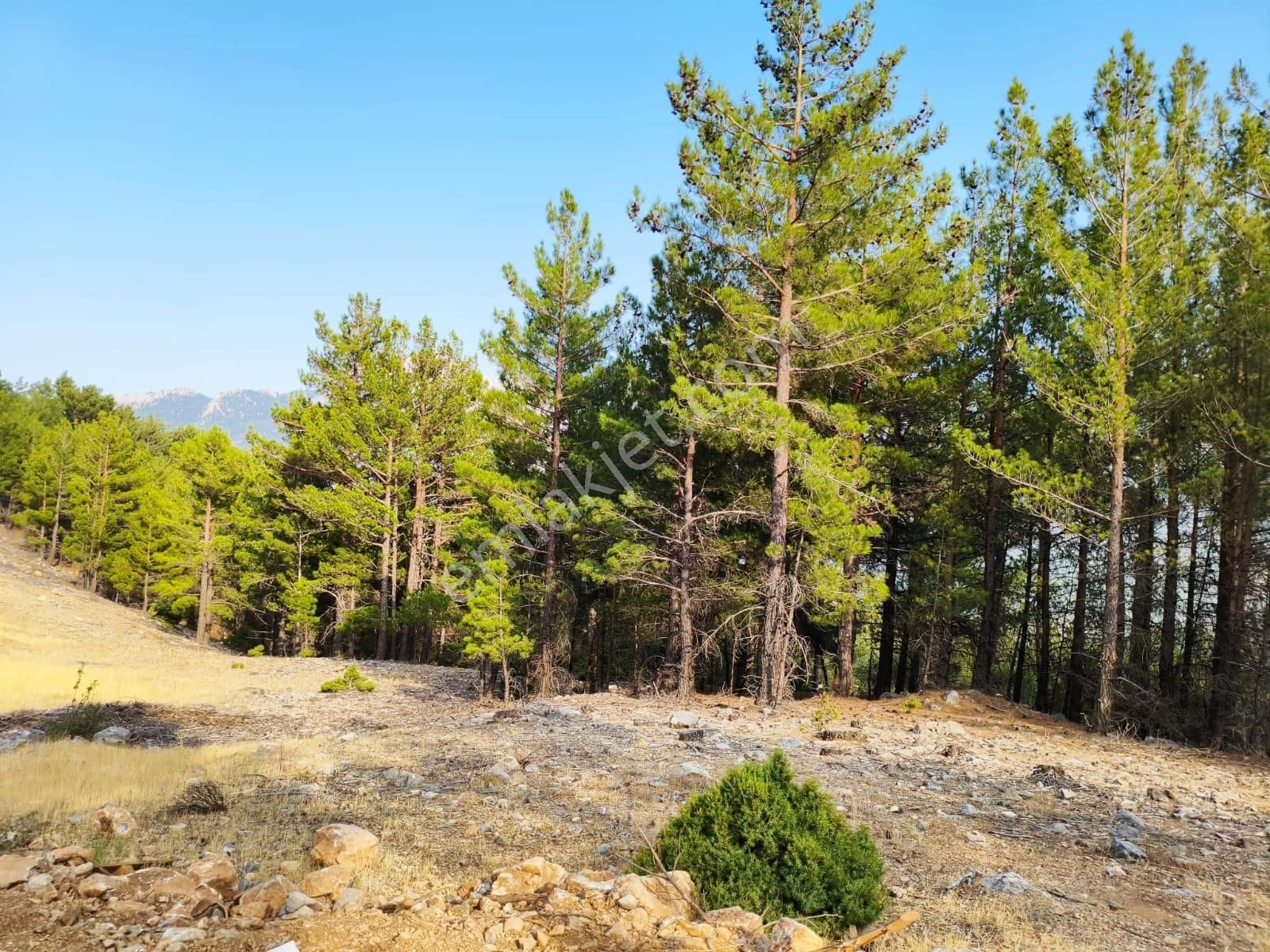 Kar Emlaktan Yenikonacık Efes Sitesinin Üstünde 400 M2 Satılık Arsa - Görsel 14