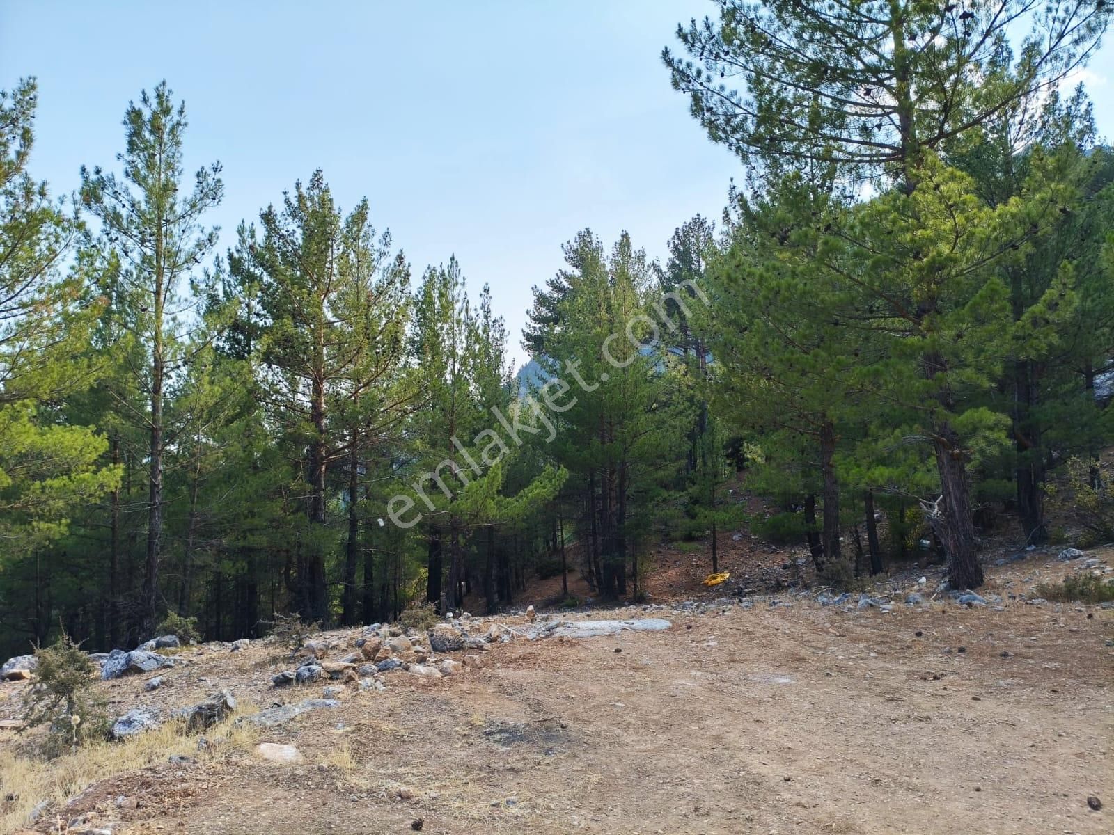 Kar Emlaktan Yenikonacık Efes Sitesinin Üstünde 400 M2 Satılık Arsa - Görsel 10