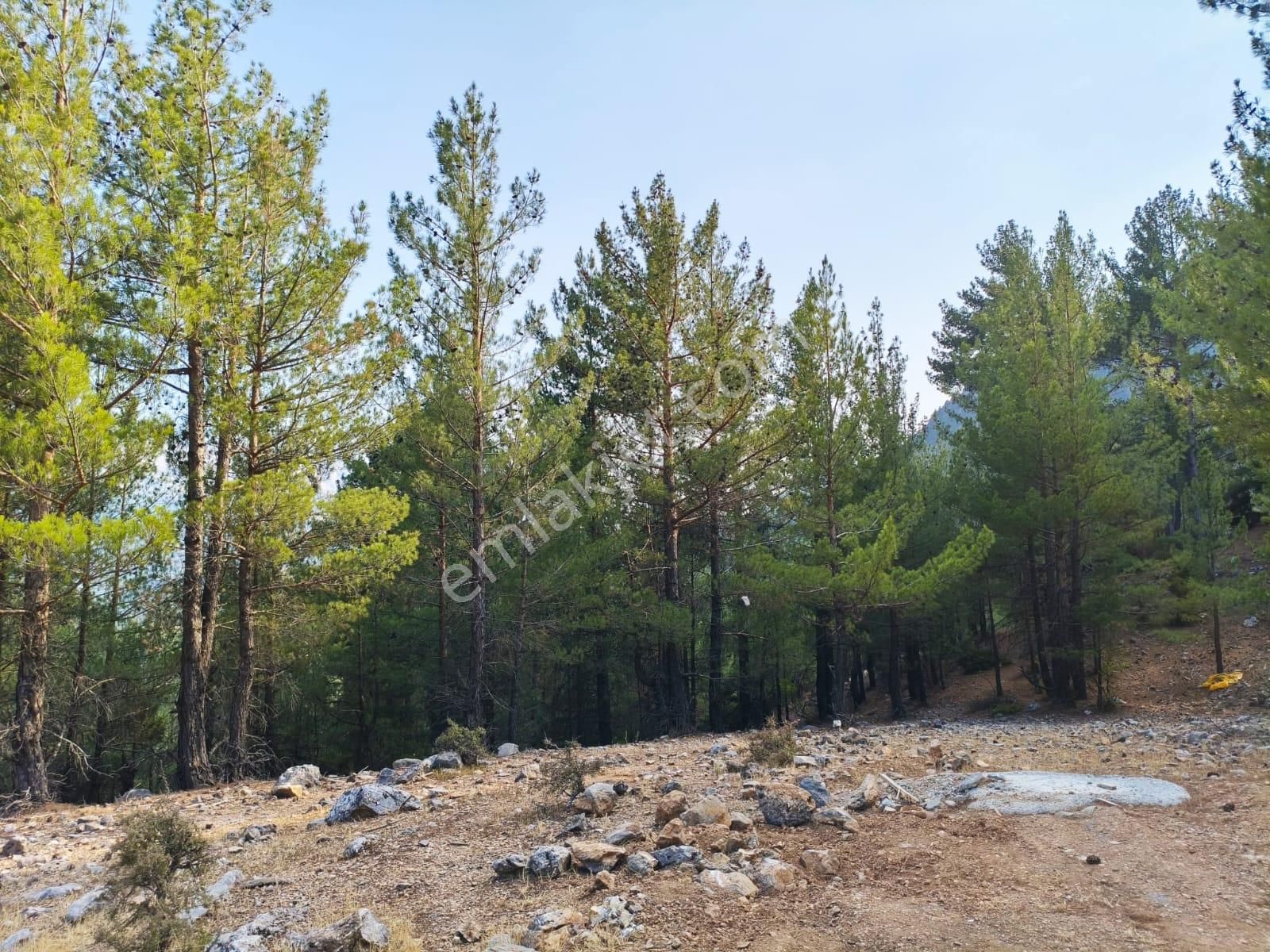 Kar Emlaktan Yenikonacık Efes Sitesinin Üstünde 400 M2 Satılık Arsa - Görsel 28