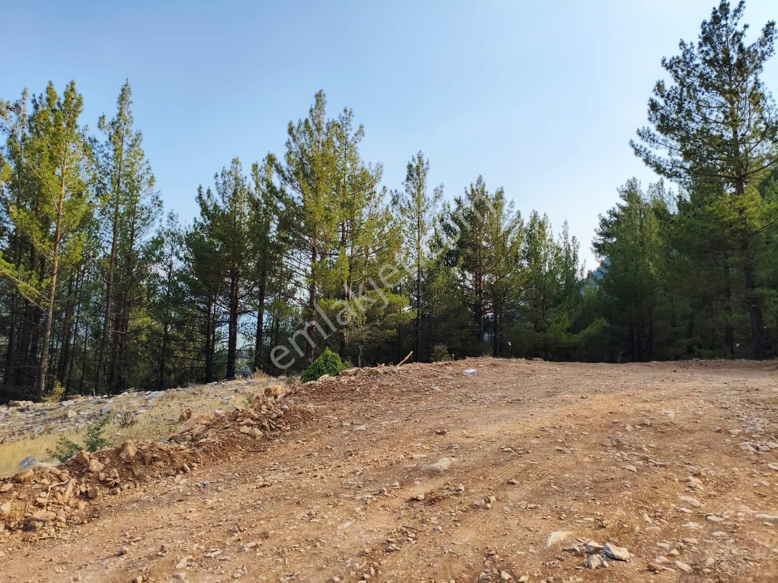 Kar Emlaktan Yenikonacık Efes Sitesinin Üstünde 400 M2 Satılık Arsa - Görsel 32